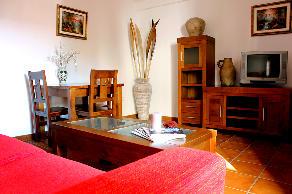 Salón amueblado de uno de los apartamentos rurales